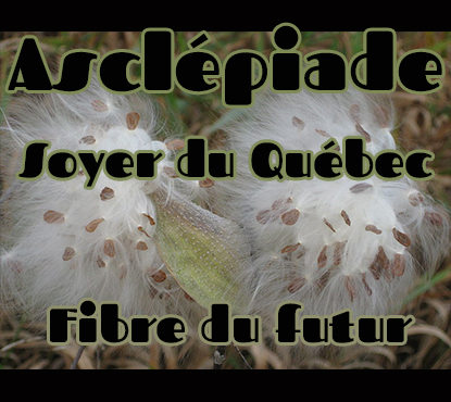 Le Québec sort l'alambic de la remise